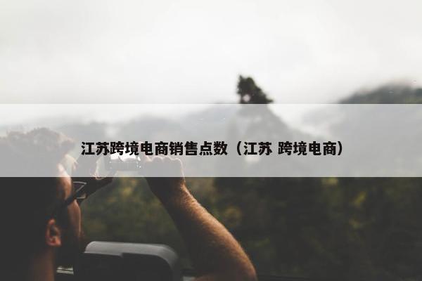 江苏跨境电商销售点数（江苏 跨境电商）
