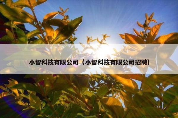 小智科技有限公司（小智科技有限公司招聘）