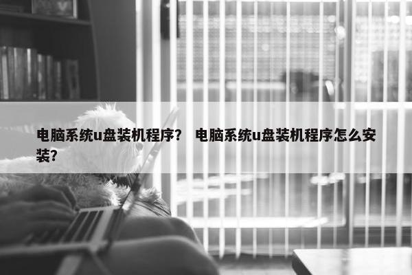 电脑系统u盘装机程序？ 电脑系统u盘装机程序怎么安装？