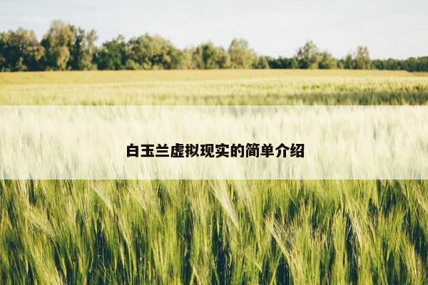 白玉兰虚拟现实的简单介绍