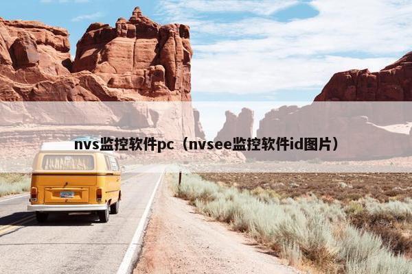 nvs监控软件pc（nvsee监控软件id图片）