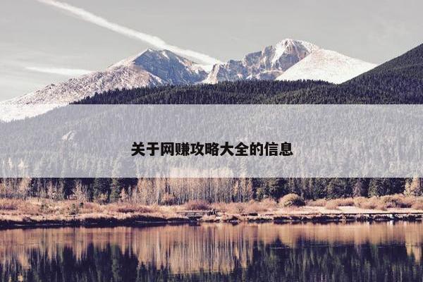 关于网赚攻略大全的信息