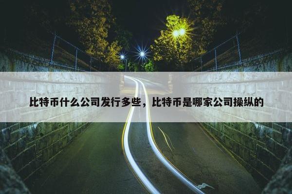 比特币什么公司发行多些，比特币是哪家公司操纵的