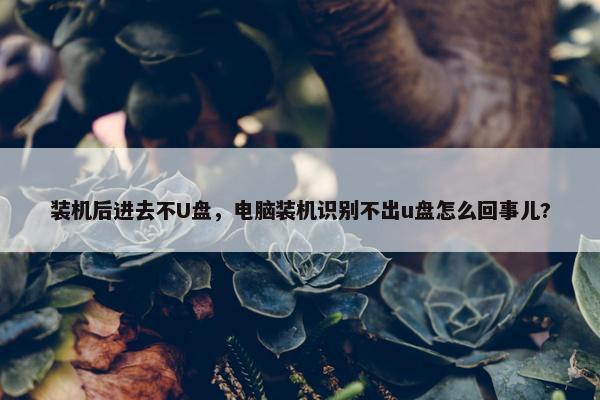 装机后进去不U盘，电脑装机识别不出u盘怎么回事儿?