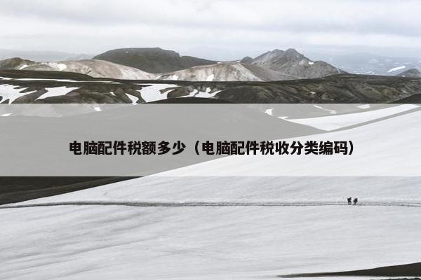 电脑配件税额多少（电脑配件税收分类编码）