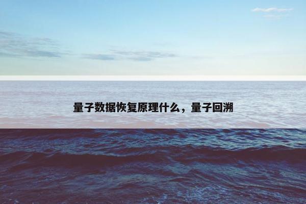 量子数据恢复原理什么，量子回溯