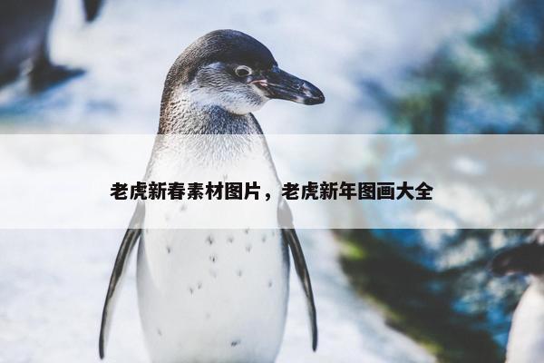 老虎新春素材图片，老虎新年图画大全