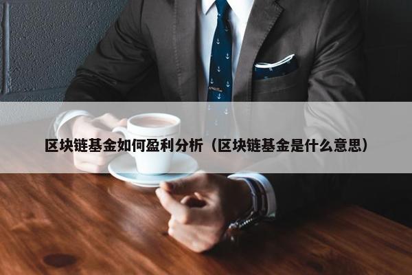 区块链基金如何盈利分析（区块链基金是什么意思）