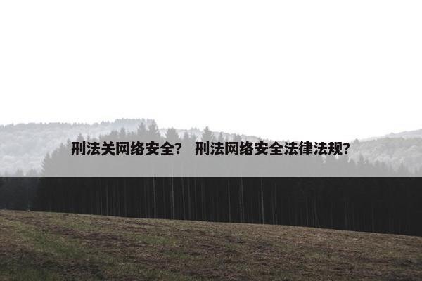刑法关网络安全？ 刑法网络安全法律法规？
