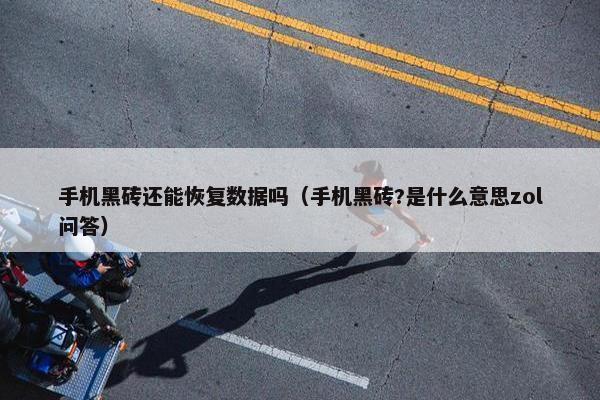 手机黑砖还能恢复数据吗（手机黑砖?是什么意思zol问答）