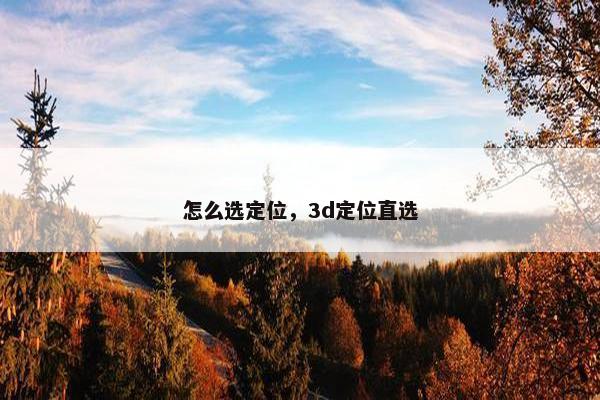 怎么选定位，3d定位直选