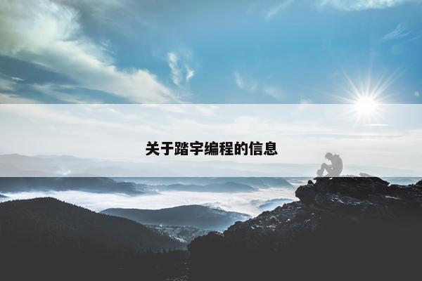 关于踏宇编程的信息