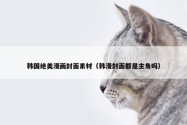 韩国绝美漫画封面素材（韩漫封面都是主角吗）