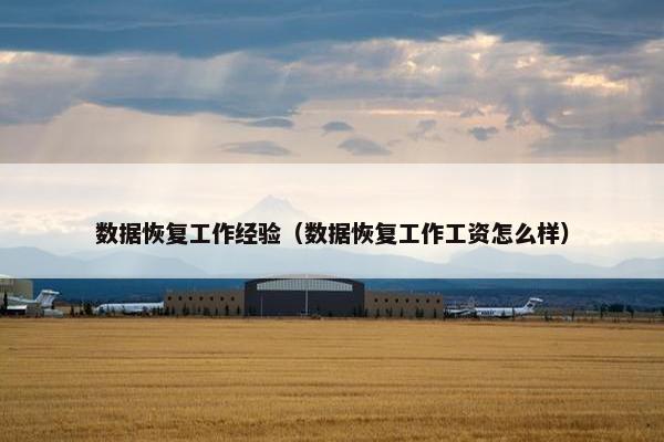 数据恢复工作经验（数据恢复工作工资怎么样）