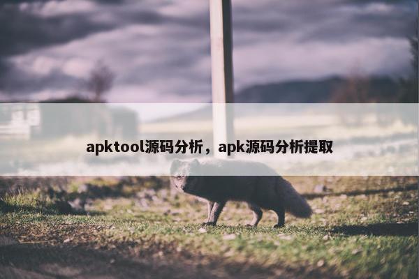 apktool源码分析，apk源码分析提取