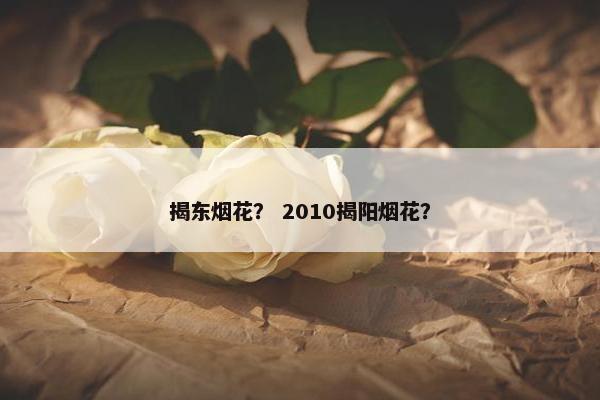 揭东烟花？ 2010揭阳烟花？