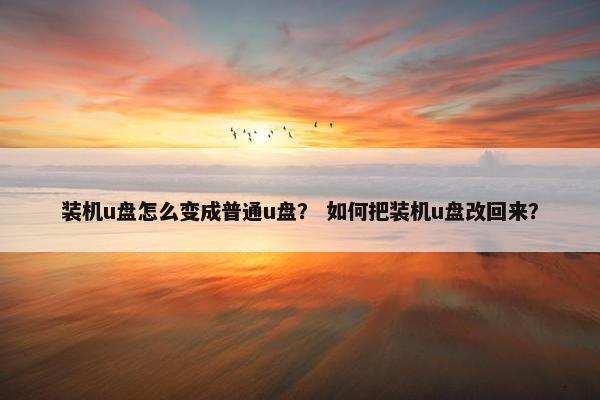 装机u盘怎么变成普通u盘？ 如何把装机u盘改回来？