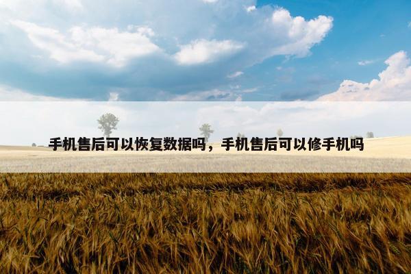 手机售后可以恢复数据吗，手机售后可以修手机吗