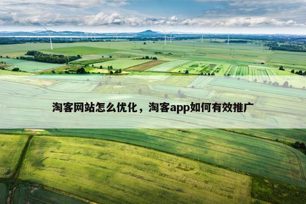 淘客网站怎么优化，淘客app如何有效推广