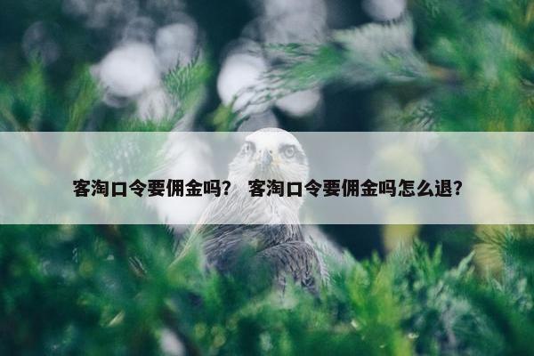 客淘口令要佣金吗？ 客淘口令要佣金吗怎么退？