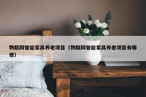 物联网智能家具养老项目（物联网智能家具养老项目有哪些）