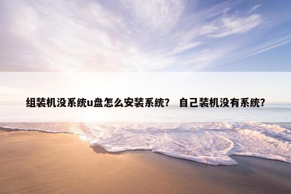 组装机没系统u盘怎么安装系统？ 自己装机没有系统？
