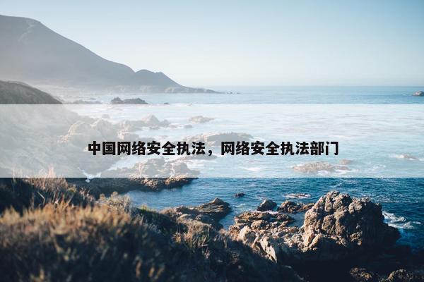 中国网络安全执法，网络安全执法部门