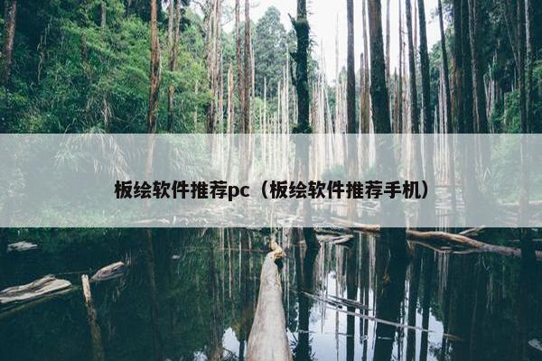 板绘软件推荐pc（板绘软件推荐手机）