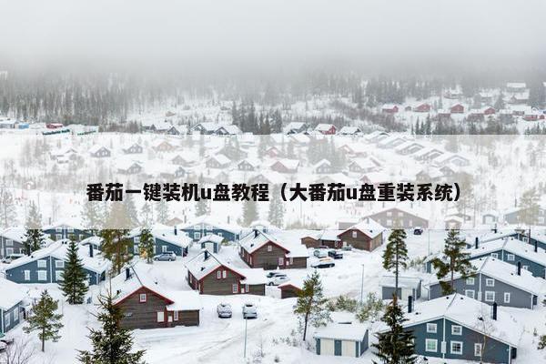 番茄一键装机u盘教程（大番茄u盘重装系统）