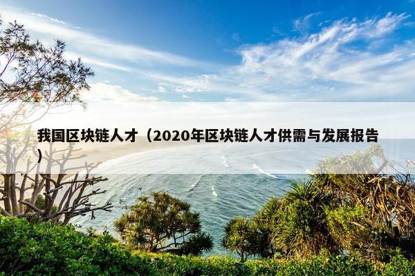 我国区块链人才（2020年区块链人才供需与发展报告）