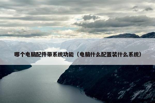 哪个电脑配件带系统功能（电脑什么配置装什么系统）
