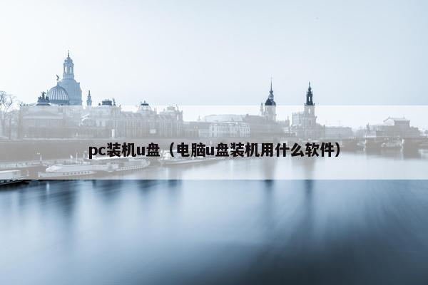 pc装机u盘（电脑u盘装机用什么软件）