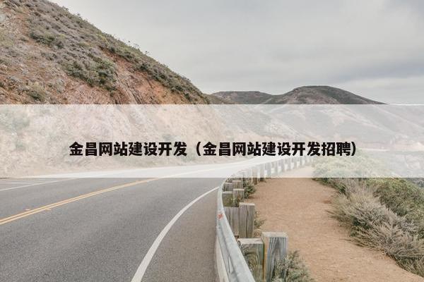 金昌网站建设开发（金昌网站建设开发招聘）