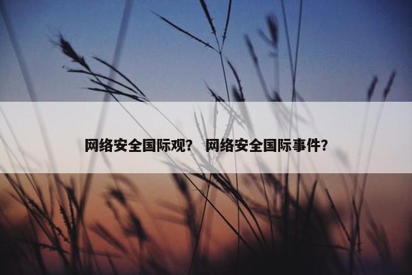 网络安全国际观？ 网络安全国际事件？