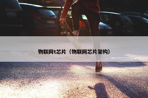 物联网t芯片（物联网芯片架构）