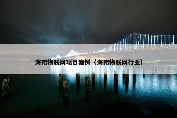 海南物联网项目案例（海南物联网行业）
