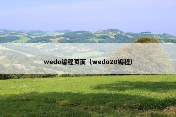 wedo编程页面（wedo20编程）