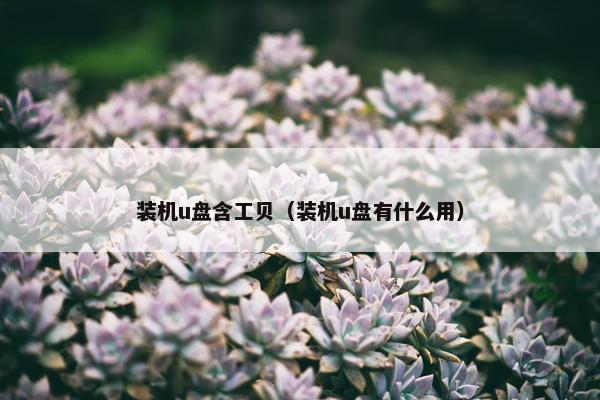 装机u盘含工贝（装机u盘有什么用）