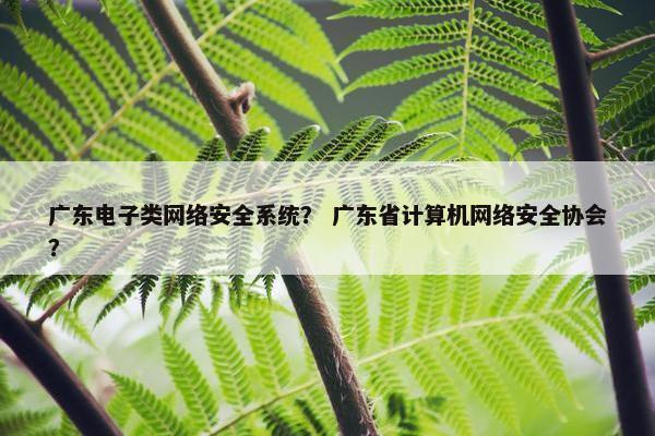 广东电子类网络安全系统？ 广东省计算机网络安全协会？