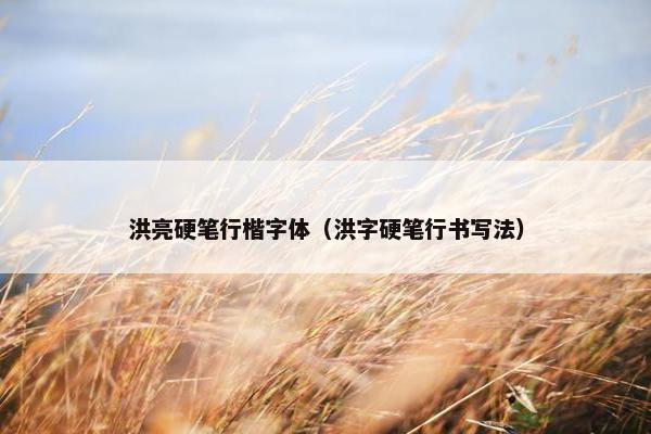 洪亮硬笔行楷字体（洪字硬笔行书写法）
