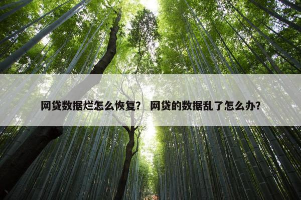 网贷数据烂怎么恢复？ 网贷的数据乱了怎么办？