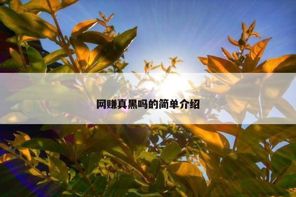 网赚真黑吗的简单介绍
