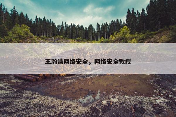 王瀚清网络安全，网络安全教授