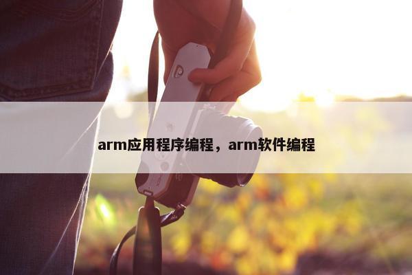 arm应用程序编程，arm软件编程