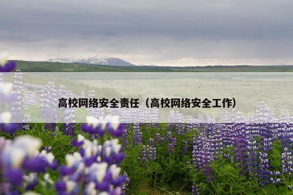 高校网络安全责任（高校网络安全工作）