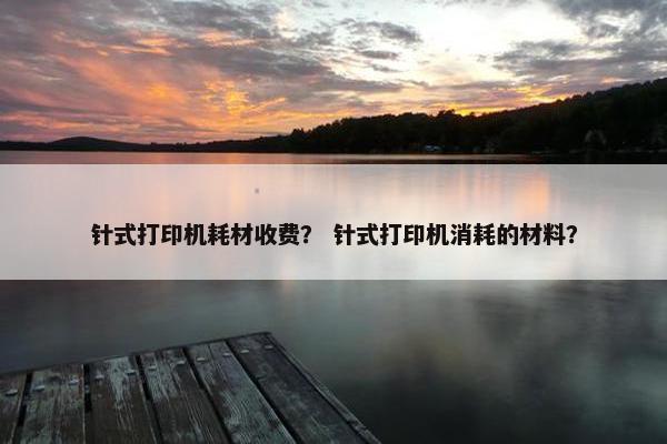 针式打印机耗材收费？ 针式打印机消耗的材料？