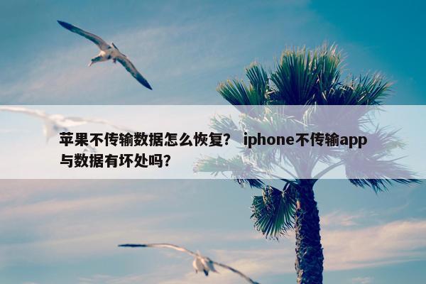 苹果不传输数据怎么恢复？ iphone不传输app与数据有坏处吗？