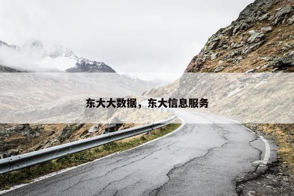 东大大数据，东大信息服务