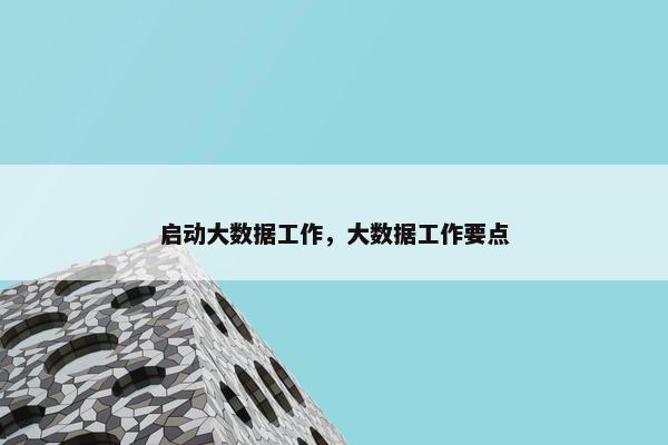 启动大数据工作，大数据工作要点