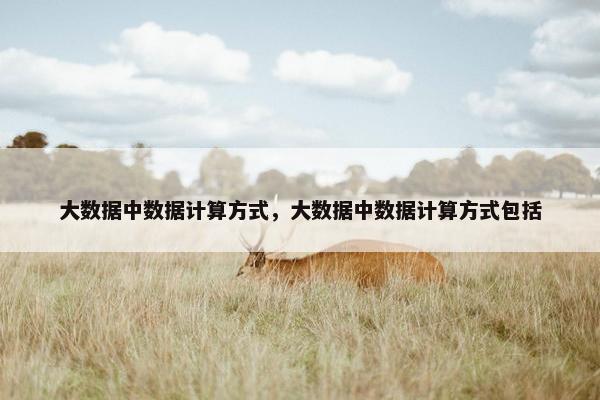 大数据中数据计算方式，大数据中数据计算方式包括